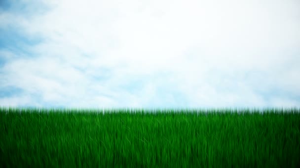 Hierba verde fresca — Vídeos de Stock