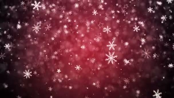 Flocos Neve Queda Estrelas Fundo Natal — Vídeo de Stock