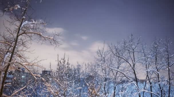 Time Lapse Moon Rise Trees Cidade Inverno Noite Luar — Vídeo de Stock