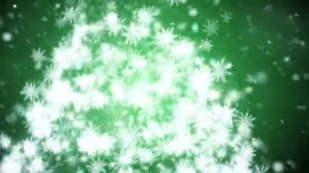 Growing New Year Tree Falling Snowflakes — Stock Video