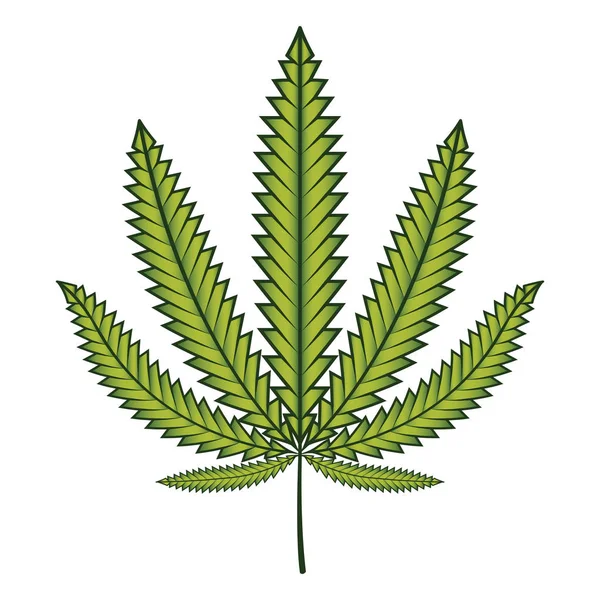 Liść zielony konopi (marihuany). — Wektor stockowy