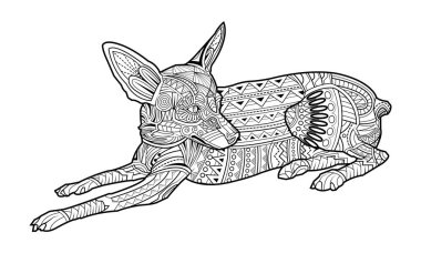 Sevimli boyama sayfası köpek doğurmak Chihuahua