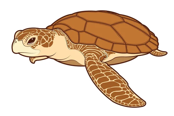 Vettore di colore tartaruga marina — Vettoriale Stock