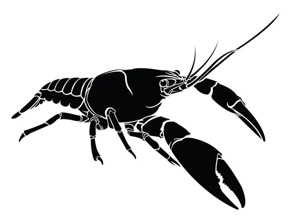 Crayfish, lobster vector silhouette isolated. — Stock Vector