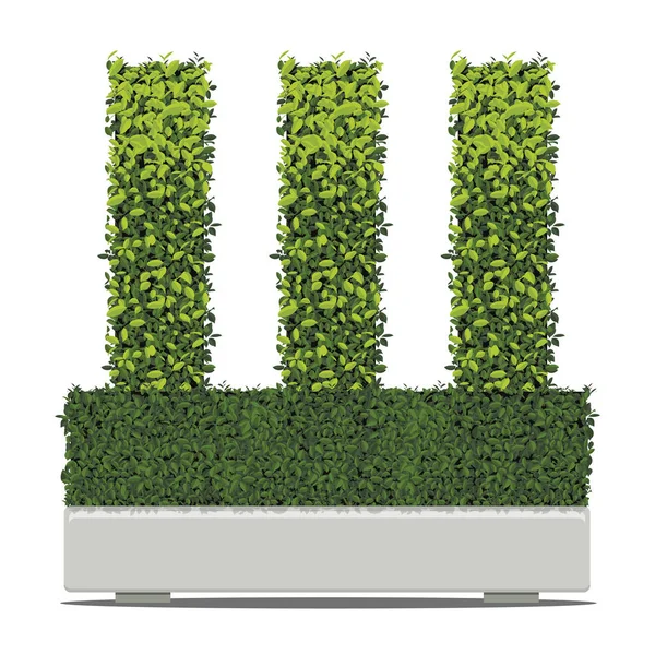 Ağaç beyaz arka plan üzerinde izole kap küp şeklinde. Vektör hastası