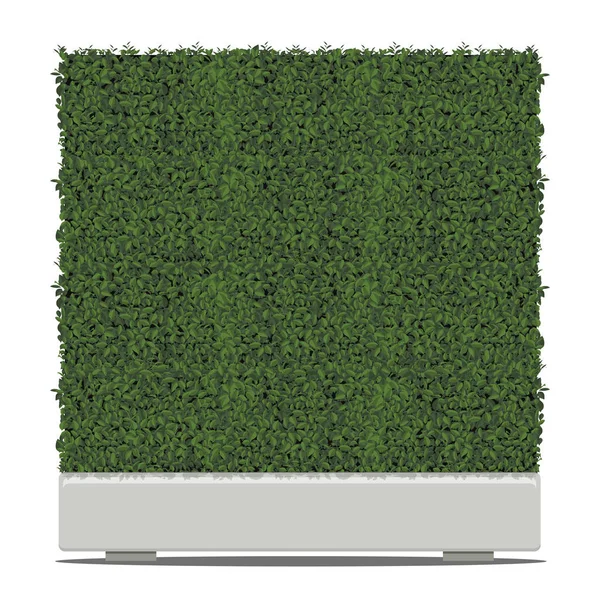 白い背景で隔離の鍋で緑の木キューブ形状。Vect — ストックベクタ
