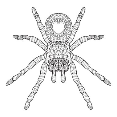 El çizmek örümcek Zentangle tarzı. vektör çizim.