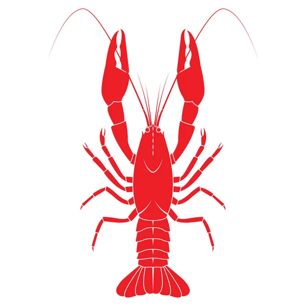 Red crayfish vector flat illustration isolated on white backgrou — Stock Vector