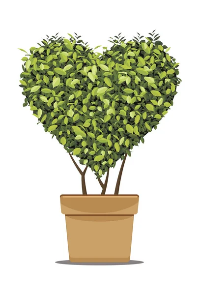 Heart-shaped trees in pots. — Stock Vector