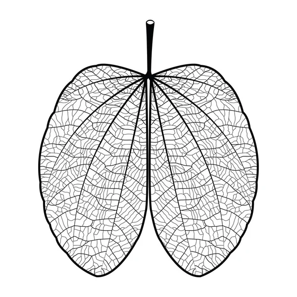 Leaf svart kontur på vit bakgrund — Stock vektor
