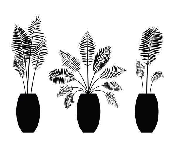 Interiör palm träd silhuett på potten — Stock vektor