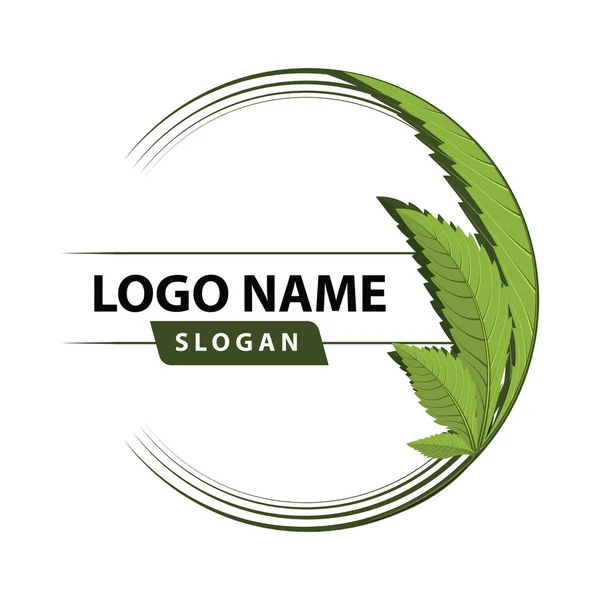 Логотип зеленого листя канабісу . — стоковий вектор