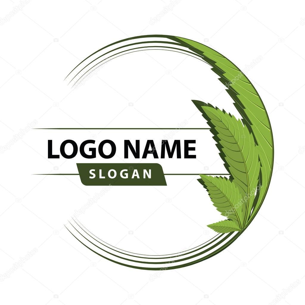 Medical marijuana, cannabis green leaf logo. vector illustration.