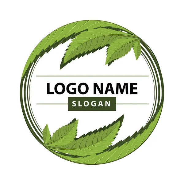 Logo zelené listy konopí. — Stockový vektor