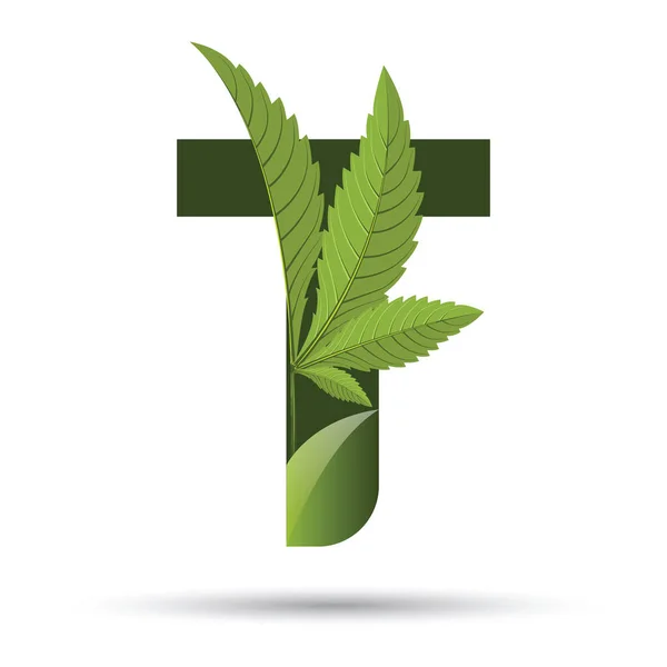 Cannabis green leaf logo letter T — Stock Vector