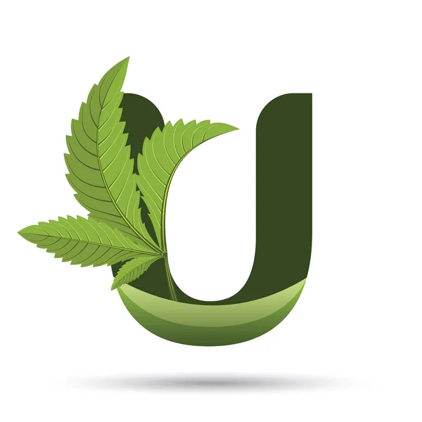 Cannabis green leaf logo letter U — Stock Vector