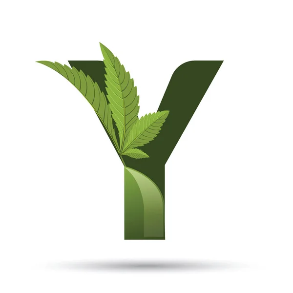 Cannabis green leaf logo letter Y — Stock Vector