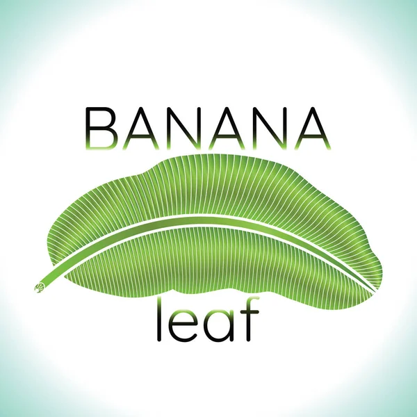 バナナの葉のロゴ — ストックベクタ