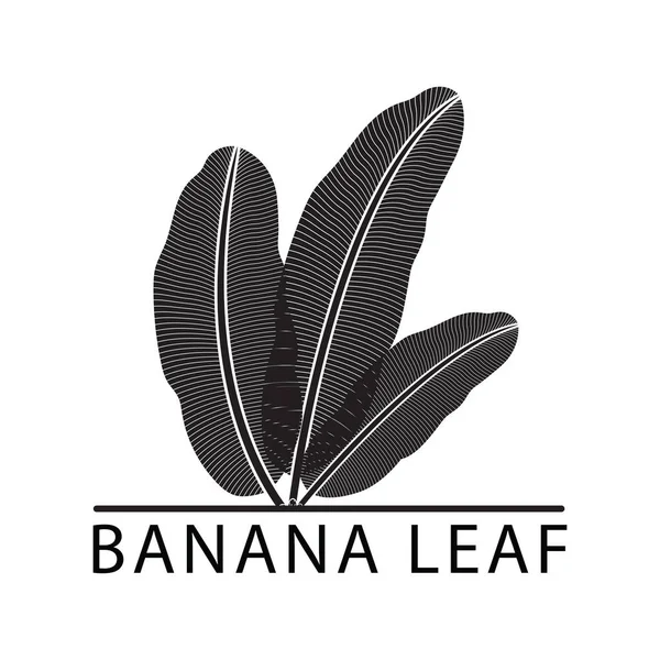 Logo hoja silueta plátano — Vector de stock