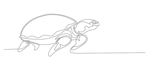 Ζωάκι Ζωγραφισμένο Στο Χέρι Θαλάσσια Χελώνα Περπατώντας Συνεχής Γραμμή Διανυσματικός — Διανυσματικό Αρχείο