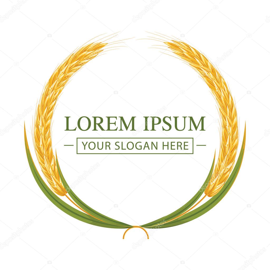 Organic Barley product logo design vector template. Beer wheat logo vector illustration.