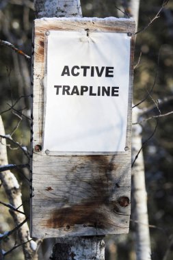 Ormandaki Active Trapline işareti