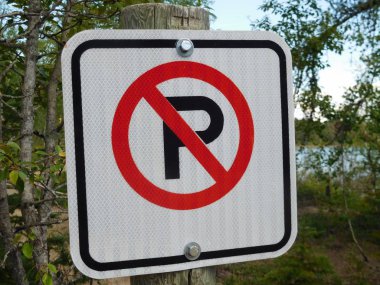 Park iz bir orman arka plan yok