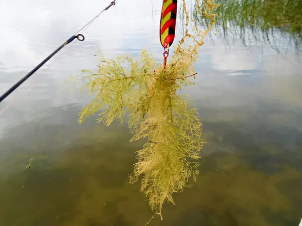 Lançando para fora para peixes e captura de ervas daninhas — Fotografia de Stock