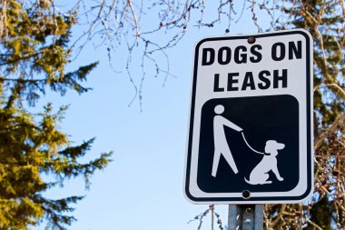 Genel bir parkta köpekler üstünde kira kontratı imzala