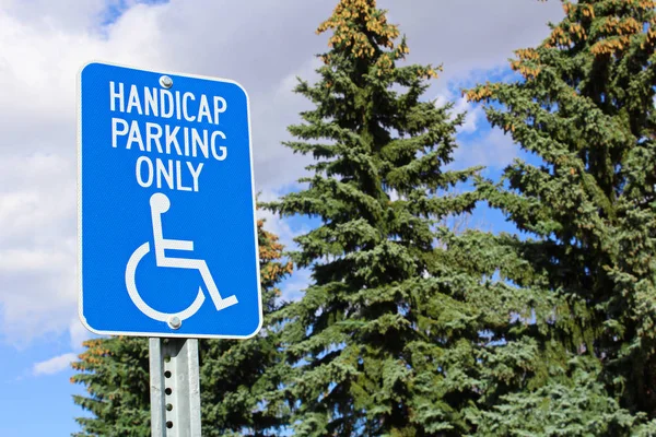 Señal de estacionamiento para discapacitados con árboles en el fondo — Foto de Stock