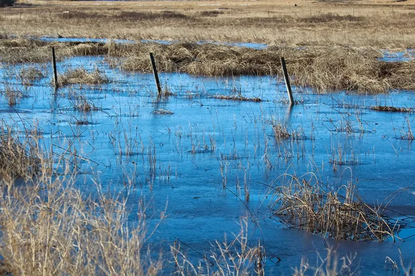 Une silhouette de clôture en fil barbelé traversant un marais gelé — Photo