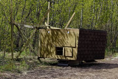 Bir av kör tarafında bacaklar koymak için 's