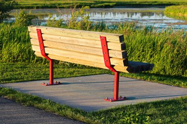 Doğal bir bataklık bakan bir beton zemin üzerinde bir park bankında