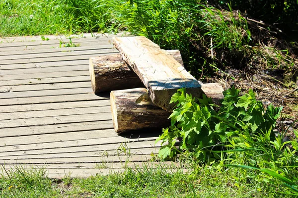 Un banc de bois en rondins fendus sur un sentier de promenade — Photo