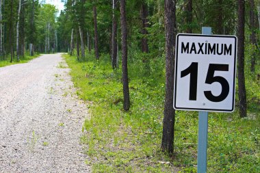 Bir çakıl yol boyunca en fazla 15 hız sınırı işareti.