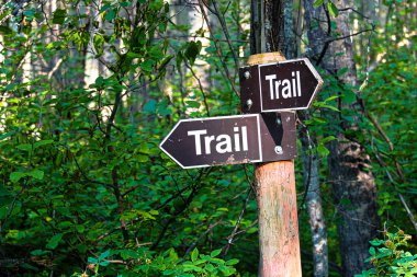 Bir hiking trail ormanın içinde yön işareti