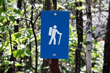 Bir mavi iz işareti ağaçta hiking