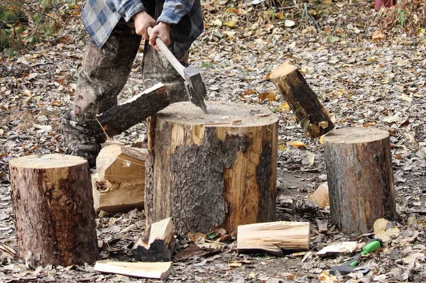 Action shot of wood being split and flying away from the stump — Stock Photo, Image