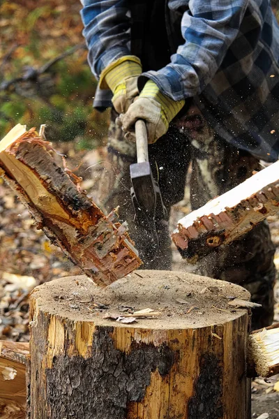 Primo piano di legno di betulla che viene tagliato su un ceppo — Foto Stock