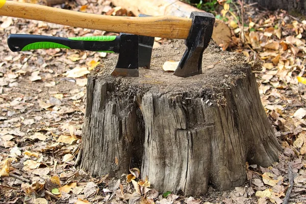 Three different sized axes being stored on a chopping stump — Stock Photo, Image