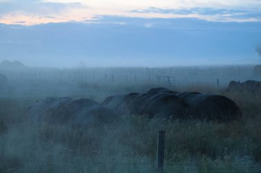 Saman balya sabah sis çevrelerindeki ile yığılmış