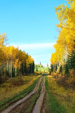 Zorlu bir yol ise sonbaharda avcılık alınan