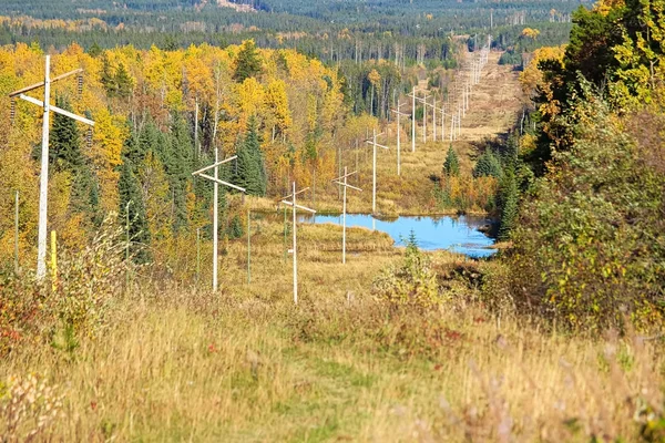 Bir sonbahar ormanı üzerinden çalışan bir güç Cutline — Stok fotoğraf