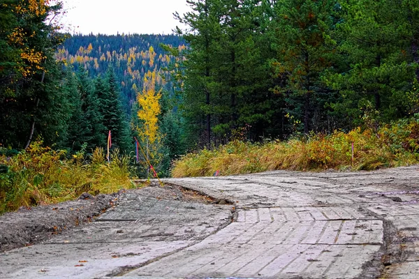 Bir orman yoluyla bir geçici erişim mat yol — Stok fotoğraf