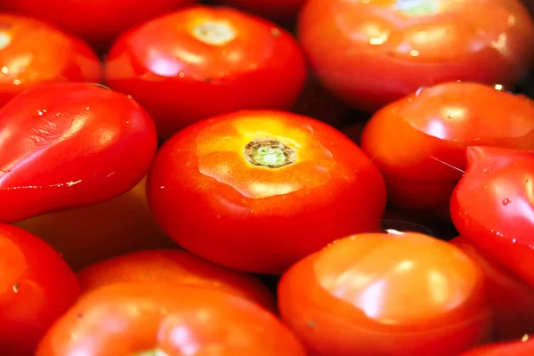 Closeup of various tomatoes being washed in water — Stock Photo, Image