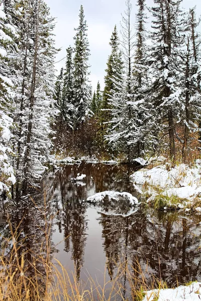 Premières chutes de neige dans la forêt avec reflets d'eau — Photo