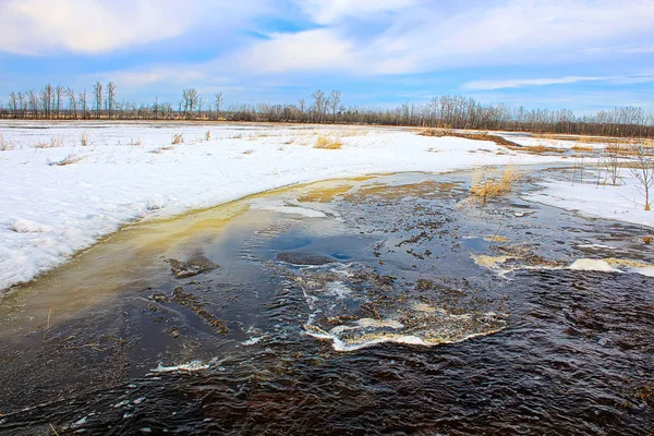 Eau coulant le long des terres agricoles pendant la fonte printanière — Photo