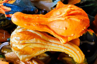 Birbirine karşı dizilmiş iki kabak.