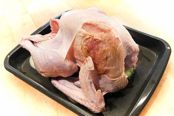 View of a utility turkey with its breast skin damaged — Stock Photo, Image