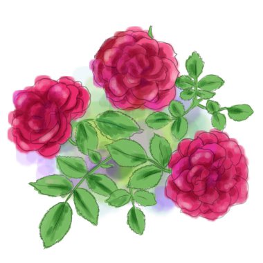 Resimde gül ve şeritler